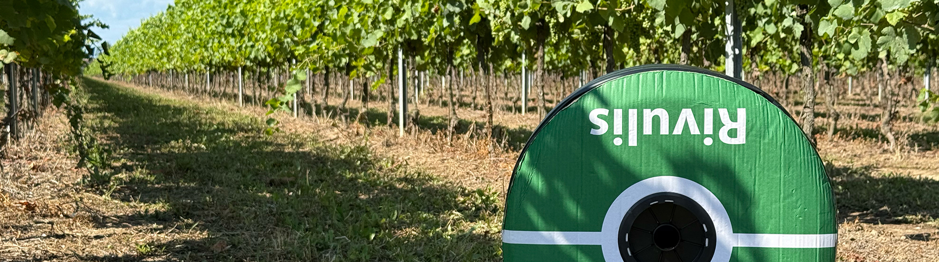 Riego fragmentado y difícil de gestionar: cómo Rivulis resolvió los problemas en los viñedos de Daniele Avoledo